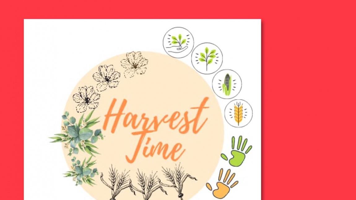 WE CODE WITH HARVEST TİME